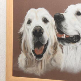 Dit is een schilderij van Bruce en Roby.