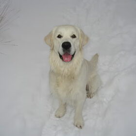 Zie je mij wel in de witte sneeuw???