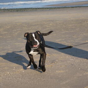 Een dagje aan het strand.