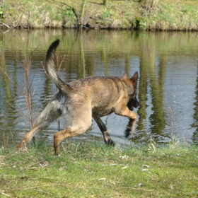 hier vergat ze hare rem xD en viel in het water, ze houdt echt…