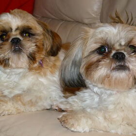 masha en lizzy mama en dochter