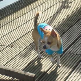 Pablo(L)