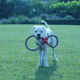 kisha in het park aan het spelen!