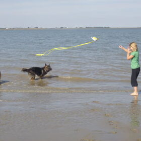 Anne aan 't vliegeren; Rosie en Ziva aan 't strandjutten.