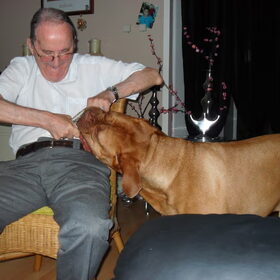 Rocky aan het stoeien met mijn vader