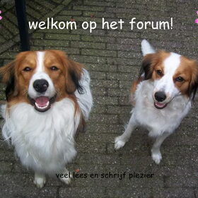 voor iedereen die nieuw is op het forum ;-)