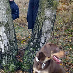 Hondenfoto van Juut & Brownie 