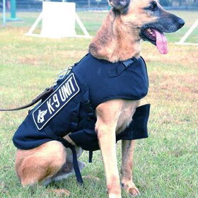 K-9 hond