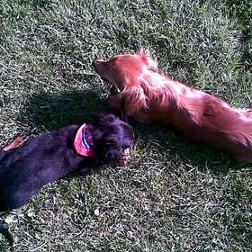 Zoe en Lewis