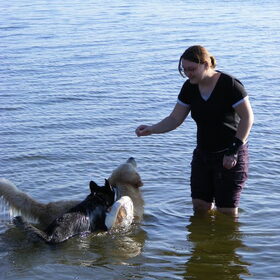 mijn baasje en een andere hond en ik. 17,5 week