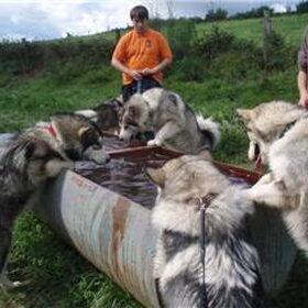 De familie GAWASJA'S SPIRIT TIJDENS EEN WANDELING IN DE…