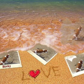 Binky LOVE