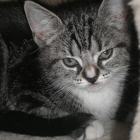 Onze nieuwste aanwinst! Noenes