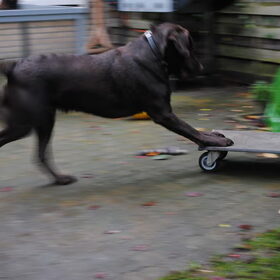 skateboarden