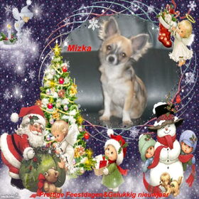 lief he