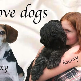 ik hou van alle honden, vooral roxy, bounty, buster enz
