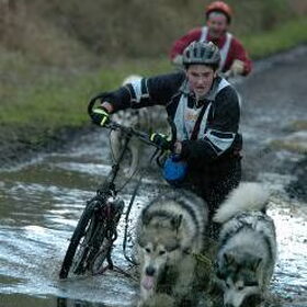 De alaskan malamute en zijn baas in actie! Een plezier