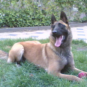 myra in de tuin