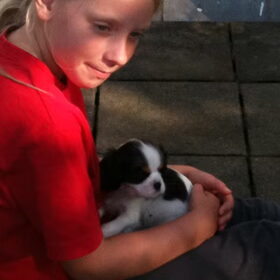 Heeeeee kleine grote vriend van me