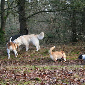 wandeling nijverdal