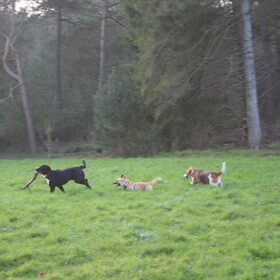 wandeling nijverdal