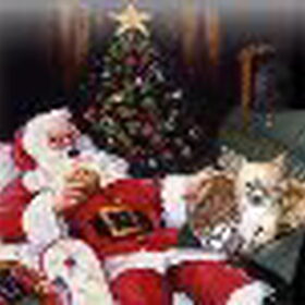 bij kerstman