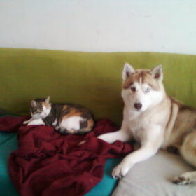 Billie en Noa