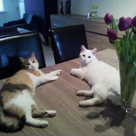 Billie & Nelson