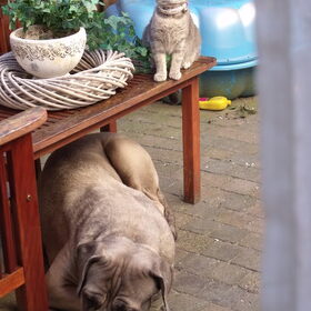 samen met smoesje..