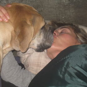 nog aan het wachten op de pupjes!! Moonie geeft en…