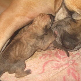zo'n lieve mama!!!!