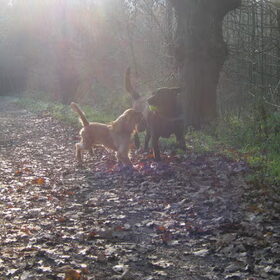 wandeling winter 2010