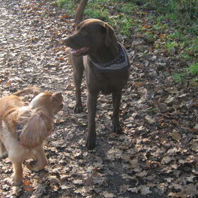 wandeling winter 2010