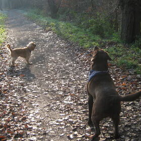 wandeling winter 2010
