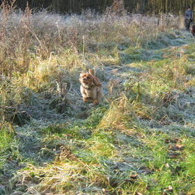 wandeling winter 2010