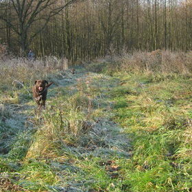 wandeling winter 2010