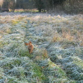 wandeling winter 2010