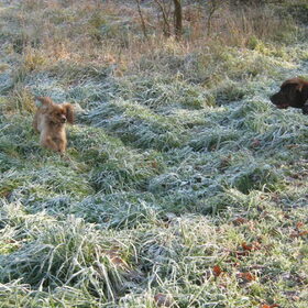 wandeling winter 2010