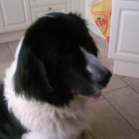 Lief ben ik he?