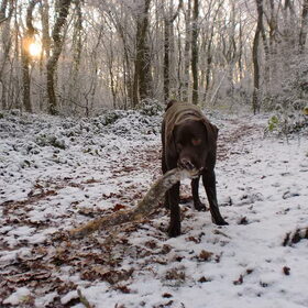 Milow 9 mnd, zijn eerste ontmoeting met sneeuw...