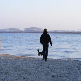 Skippa en Kevin op het hondenstrand