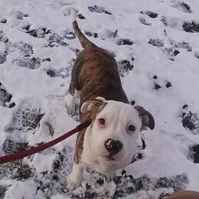 chika eerste keer sneeuw