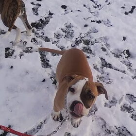 lady eerste keer sneeuw
