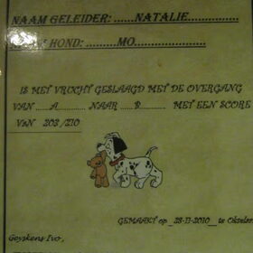 Ja! Overgang van de A-klas naar de B-klas. Ons eerste diploma…