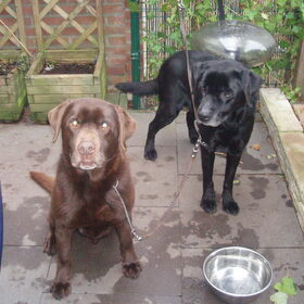 Max en Bruno