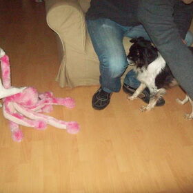 hahaha lady is de winnaar