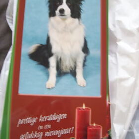 Kerstkaarten laten maken..