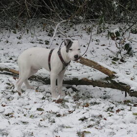 kleine sloper