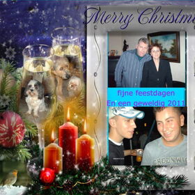 Hondenfoto van liesbeth,Turbo,Luna, Levi en Faith