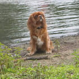Floortje houdt van water !